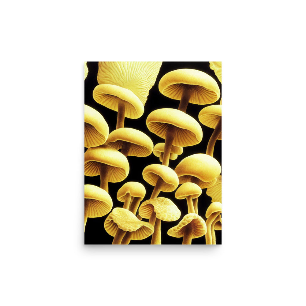 Mushroom Magic: Neutral - Luster Poster