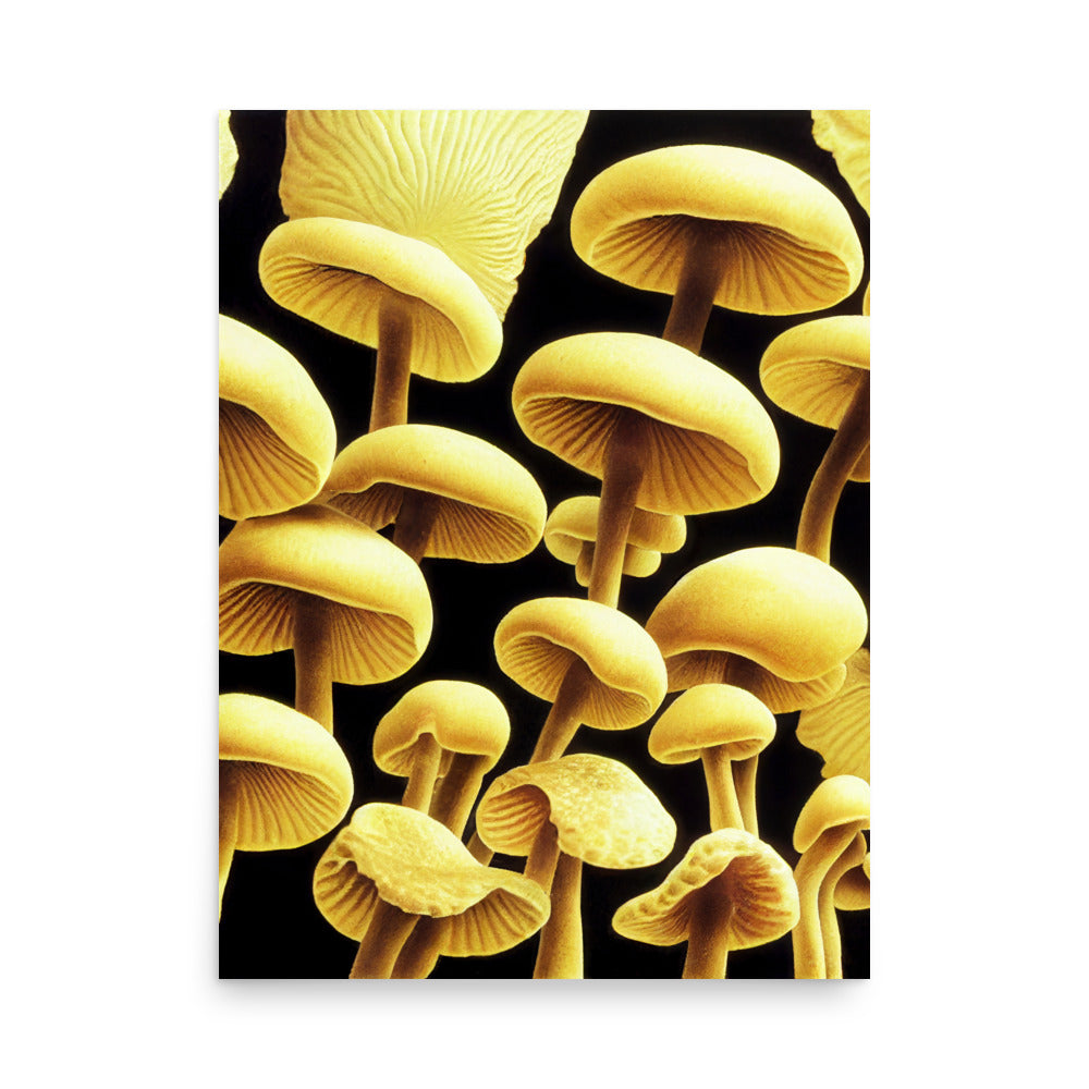 Mushroom Magic: Neutral - Luster Poster