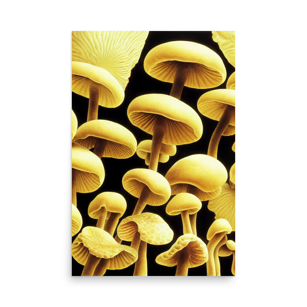 Mushroom Magic: Neutral - Luster Poster